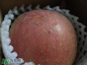蘋果裂紋能吃嗎？蘋果裂紋是怎么回事？