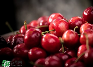 車厘子什么季節(jié)吃？車厘子是什么季節(jié)的水果？