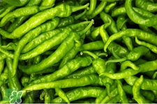 尖椒可以放冰箱保存嗎？尖椒能放冰箱冷凍嗎？