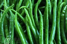 尖椒怎么切？尖椒怎么切絲？