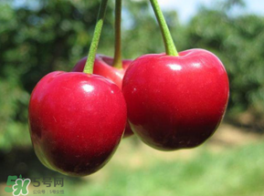 車厘子和蝦能一起吃嗎？吃完車厘子可以吃蝦嗎？