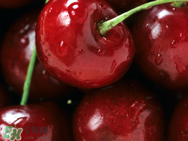 車厘子什么時候吃最好？車厘子一天什么時候吃營養(yǎng)吸收最好？