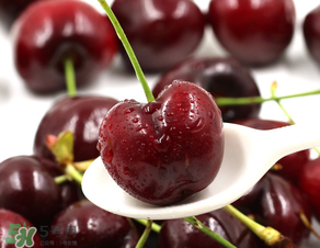 車厘子老人可以吃嗎？老人可以吃車厘子嗎？