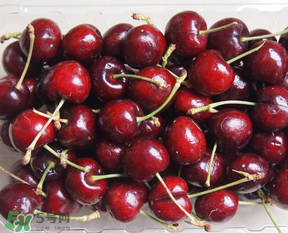 車厘子老人可以吃嗎？老人可以吃車厘子嗎？