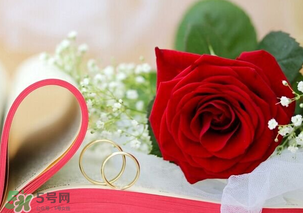 情人節(jié)送什么顏色的玫瑰花好？情人節(jié)送幾朵玫瑰花好？