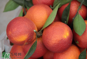 血橙多少錢一斤？四川血橙多少錢一斤？