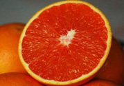 血橙和普通橙子有什么區(qū)別？血橙比普通的橙子好吃嗎？
