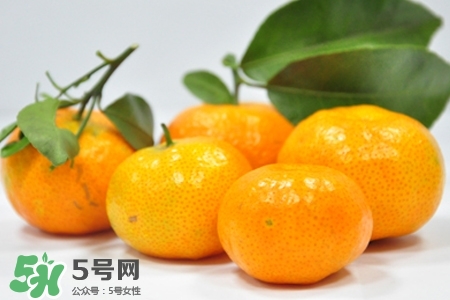 寶寶可以吃蜜桔嗎？寶寶能吃蜜桔嗎？