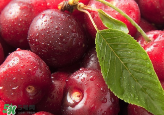 吃車?yán)遄訒?huì)便秘嗎？車?yán)遄映远嗔藭?huì)便秘嗎？