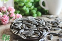 冬天吃瓜子上火怎么辦？冬天瓜子吃多了上火怎么辦？