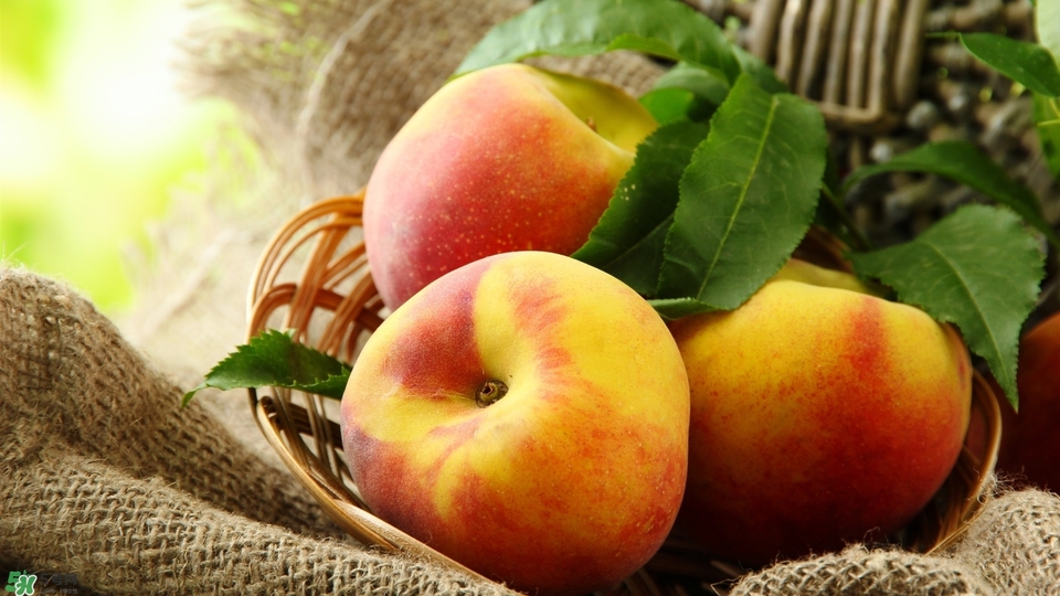 冬天蘋果太涼怎么吃？冬天蘋果太涼怎么給寶寶吃？