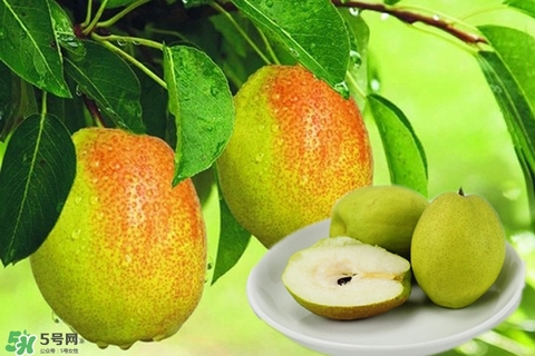 來(lái)月經(jīng)可以吃香梨嗎？月經(jīng)期間可以吃香梨嗎？