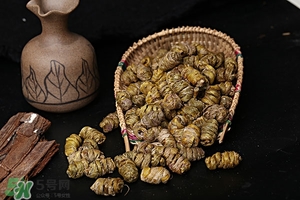 什么人不能吃鐵皮石斛,鐵皮石斛不適合人群 什么人不能吃鐵皮石斛,鐵皮石斛不適合人群