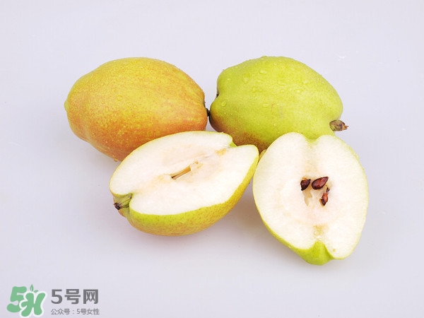 庫爾勒香梨分公母嗎？庫爾勒香梨怎么分公母？