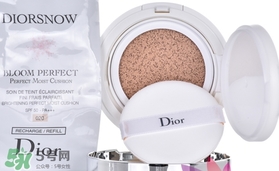 干皮用什么氣墊bb?干皮適合什么氣墊bb? 干皮用什么氣墊bb?干皮適合什么氣墊bb?