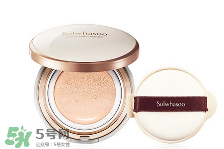 干皮用什么氣墊bb?干皮適合什么氣墊bb? 干皮用什么氣墊bb?干皮適合什么氣墊bb?