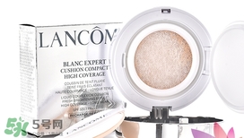 干皮用什么氣墊bb?干皮適合什么氣墊bb? 干皮用什么氣墊bb?干皮適合什么氣墊bb?