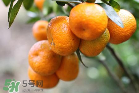 橘子變綠能不能吃？橘子變綠了還可以吃嗎？