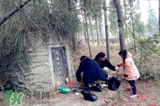 正月可以掃墓嗎？正月能不能上墳？