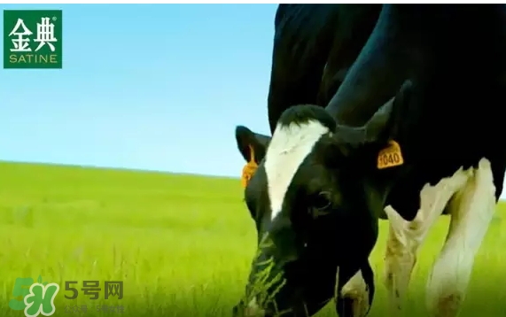 金典有機奶和特侖蘇哪個好？金典有機奶和特侖蘇對比