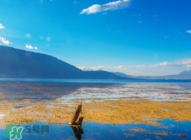 3月份去云南穿什么？三月份去云南穿什么衣服