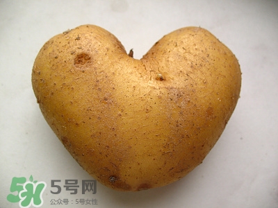 土豆中毒如何解毒?土豆中毒有哪些癥狀 土豆中毒如何解毒?土豆中毒有哪些癥狀