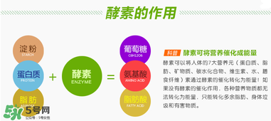 喝酵素拉肚子正常嗎？喝酵素拉肚子的原因