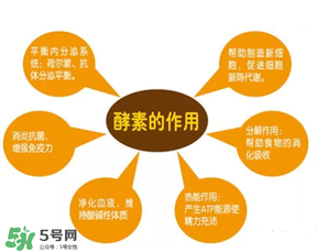 喝酵素拉肚子正常嗎？喝酵素拉肚子的原因