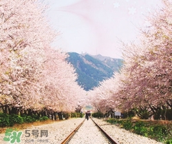 3月份去韓國穿什么？三月份去韓國穿什么衣服？