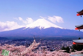 3月份去日本穿什么？三月份去日本穿什么衣服