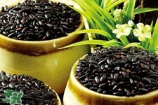 黑米可以染發(fā)嗎?黑米怎么染發(fā)? 黑米可以染發(fā)嗎?黑米怎么染發(fā)?