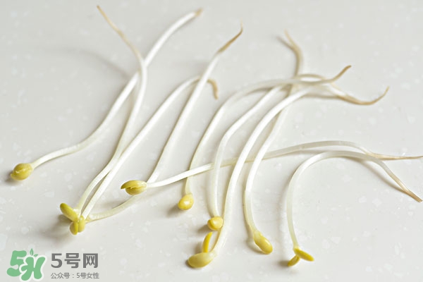 黃豆芽能做餡料嗎？黃豆芽餡包子怎么做？