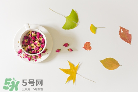 花茶可以用保溫杯泡嗎?用保溫杯泡花茶好不好 花茶可以用保溫杯泡嗎?用保溫杯泡花茶好不好
