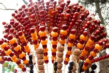 做糖葫蘆需要加添加劑嗎？做糖葫蘆用什么添加劑？