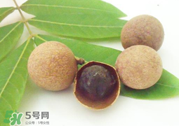 桂圓干多少錢一斤？干桂圓多少錢一斤？