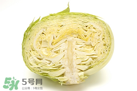 寶寶能吃卷心菜嗎?卷心菜怎么做給寶寶吃 寶寶能吃卷心菜嗎?卷心菜怎么做給寶寶吃