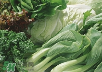 寶寶能吃卷心菜嗎?卷心菜怎么做給寶寶吃 寶寶能吃卷心菜嗎?卷心菜怎么做給寶寶吃