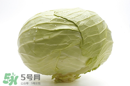 寶寶能吃卷心菜嗎?卷心菜怎么做給寶寶吃 寶寶能吃卷心菜嗎?卷心菜怎么做給寶寶吃