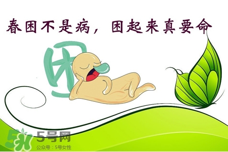 春困是身體濕氣重嗎？春天易犯困是濕氣重嗎？