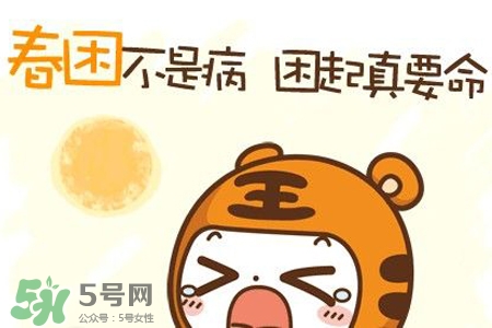 春困煲什么湯好？春困煮什么湯好的快？