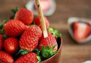 剛摘的草莓能放多久？剛摘的草莓可以放幾天？