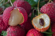 吃荔枝會(huì)酒駕嗎？為什么吃荔枝會(huì)酒駕？