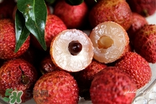 吃荔枝會(huì)過(guò)敏嗎？吃荔枝過(guò)敏怎么辦？