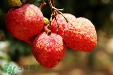 吃荔枝會(huì)過(guò)敏嗎？吃荔枝過(guò)敏怎么辦？