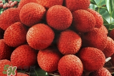 孕期吃荔枝會流產(chǎn)嗎？孕婦吃荔枝會好嗎？