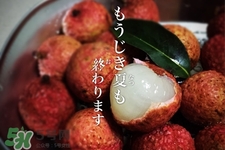 坐飛機(jī)能帶荔枝嗎？荔枝可以帶上飛機(jī)嗎？