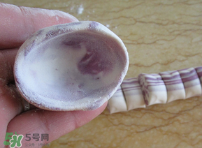 湯圓皮怎么做不破裂？湯圓皮怎么做耐煮？