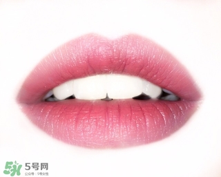 得鮮rd01豆沙色多少錢？the seam得鮮rd01試