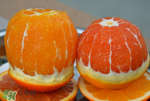 血橙為什么沒有血絲？血橙為什么不紅？