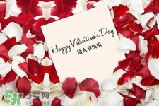 情人節(jié)可以送百合嗎？情人節(jié)送百合花好嗎？